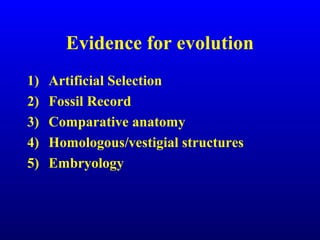Evidence for evolution
1) Artificial Selection
2) Fossil Record
3) Comparative anatomy
4) Homologous/vestigial structures
5) Embryology
 