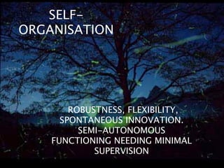 SELF-
ORGANISATION




        ROBUSTNESS, FLEXIBILITY,
      SPONTANEOUS INNOVATION.
          SEMI-AUTONOMOUS
    FUNCTIONING NEEDING MINIMAL
             SUPERVISION
 