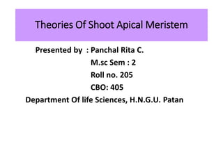 Theories Of Shoot Apical Meristem
Presented by : Panchal Rita C.
M.sc Sem : 2
Roll no. 205
CBO: 405
Department Of life Sciences, H.N.G.U. Patan
 