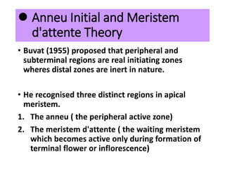  Anneu Initial and Meristem
d'attente Theory
• Buvat (1955) proposed that peripheral and
subterminal regions are real initiating zones
wheres distal zones are inert in nature.
• He recognised three distinct regions in apical
meristem.
1. The anneu ( the peripheral active zone)
2. The meristem d'attente ( the waiting meristem
which becomes active only during formation of
terminal flower or inflorescence)
 