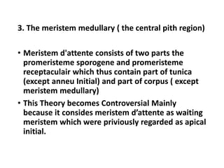 3. The meristem medullary ( the central pith region)
• Meristem d'attente consists of two parts the
promeristeme sporogene and promeristeme
receptaculair which thus contain part of tunica
(except anneu Initial) and part of corpus ( except
meristem medullary)
• This Theory becomes Controversial Mainly
because it consides meristem d’attente as waiting
meristem which were priviously regarded as apical
initial.
 