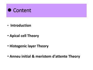  Content
• Introduction
• Apical cell Theory
• Histogenic layer Theory
• Anneu initial & meristem d'attente Theory
 