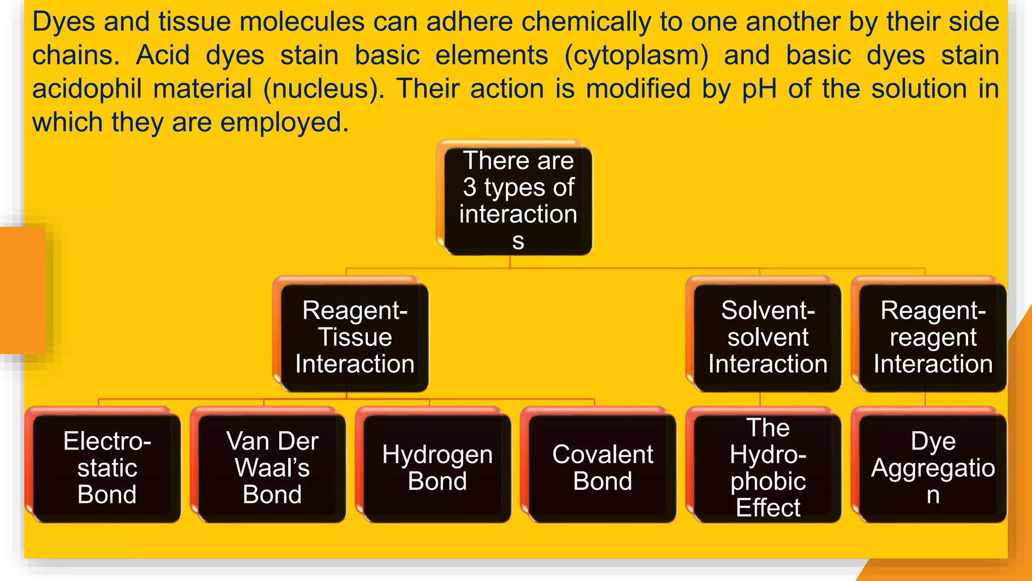 There are
3 types of
interaction
s
Reagent-
Tissue
Interaction
Electro-
static
Bond
Van Der
Waal’s
Bond
Hydrogen
Bond
Covalent
Bond
Solvent-
solvent
Interaction
The
Hydro-
phobic
Effect
Reagent-
reagent
Interaction
Dye
Aggregatio
n
Dyes and tissue molecules can adhere chemically to one another by their side
chains. Acid dyes stain basic elements (cytoplasm) and basic dyes stain
acidophil material (nucleus). Their action is modified by pH of the solution in
which they are employed.
 