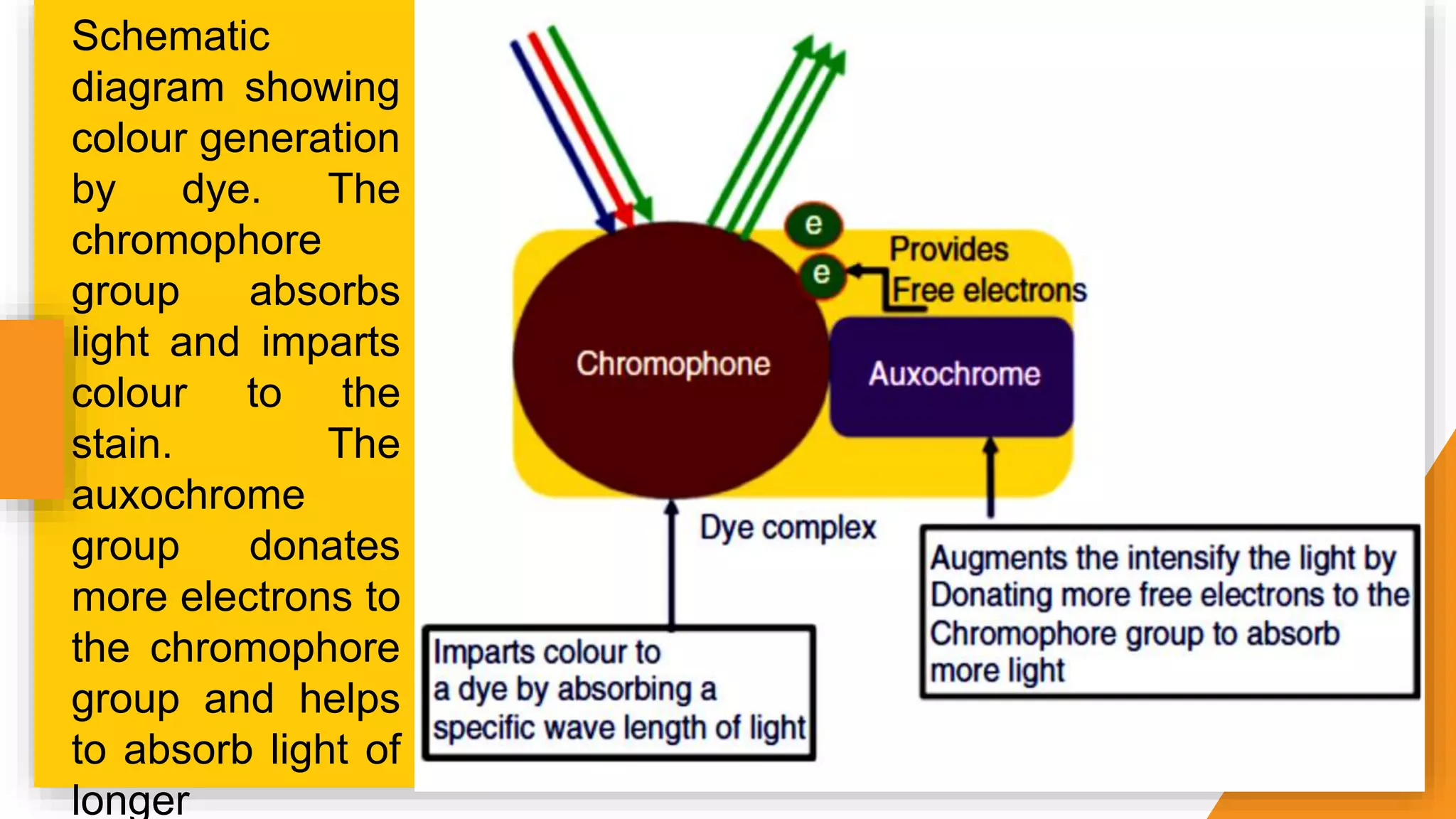 Schematic
diagram showing
colour generation
by dye. The
chromophore
group absorbs
light and imparts
colour to the
stain. The
auxochrome
group donates
more electrons to
the chromophore
group and helps
to absorb light of
longer
 