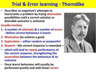 thorndike learning process