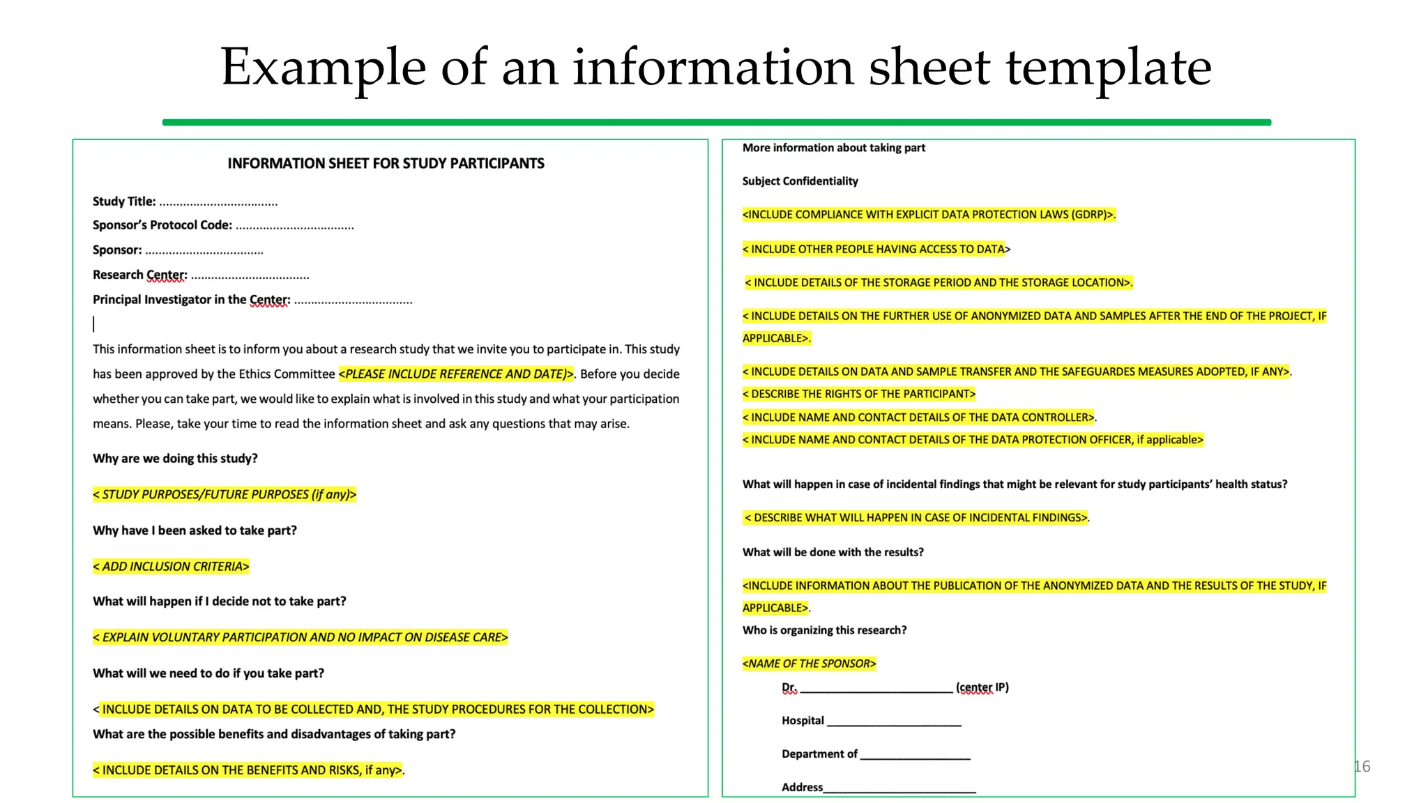 Example of an information sheet template
16
 