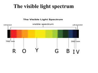 The visible light spectrum
R O Y G B I V
 