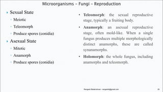 Fungi: Structure, Classification, and Reproductive Strategies | PDF