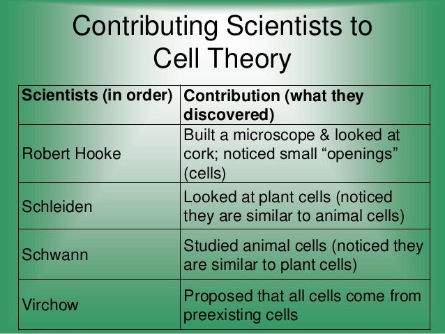 cell theory definition