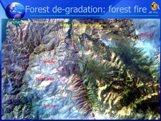 Forest de-gradation: forest fire Kanchana Buri, Thailand MS 15 m. Burnt area Active fire & smoke plume Smoke Smoke Smoke 
