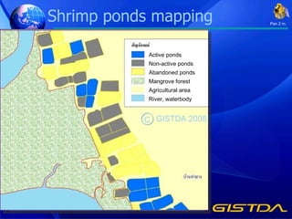Shrimp ponds mapping Active ponds Non-active ponds Abandoned ponds Mangrove forest Agricultural area River, waterbody Pan 2 m. C GISTDA 2008 