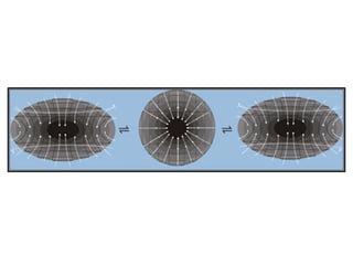 The oscillating(cyclic) universe