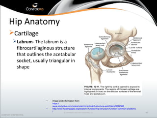 The osteoarthritic knee and hip 2016 | PPT
