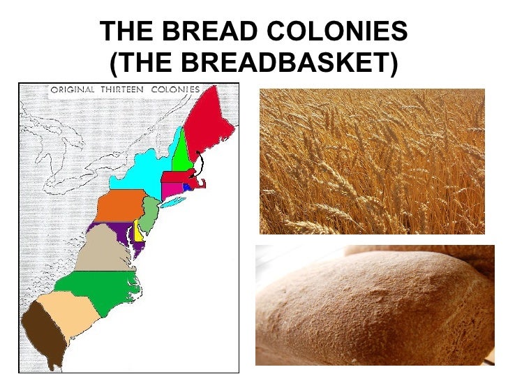 The Other 13 Colonies