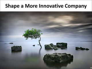 38<br />Shape a More Innovative Company<br />