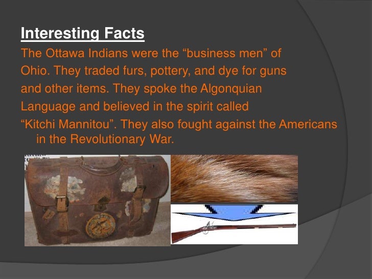 What is the history of the Ottawa Indian tribe?