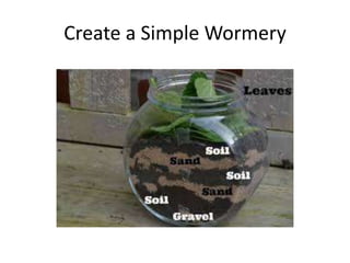 Create a Simple Wormery 
 