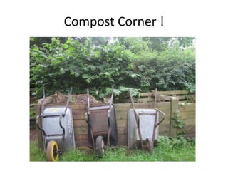 Compost Corner ! 
 