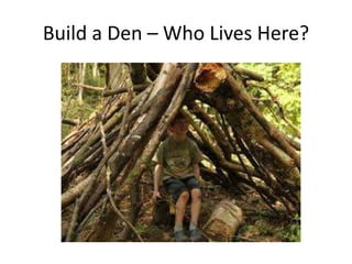 Build a Den – Who Lives Here? 
 