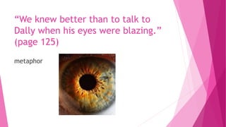 “We knew better than to talk to
Dally when his eyes were blazing.”
(page 125)
metaphor
 