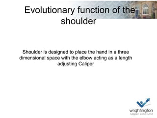 Evolutionary function of the
shoulder
Shoulder is designed to place the hand in a three
dimensional space with the elbow acting as a length
adjusting Caliper
 