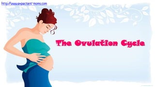 http://www.expectant-moms.com The Ovulation Cycle 