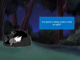 Is it good to sleep under a tree
at night?
 