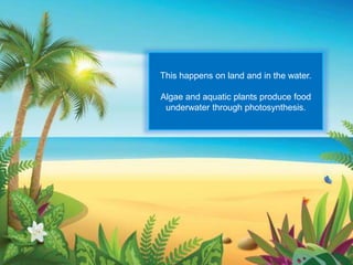 This happens on land and in the water.
Algae and aquatic plants produce food
underwater through photosynthesis.
 