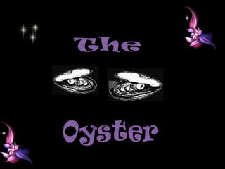 The  Oyster 
