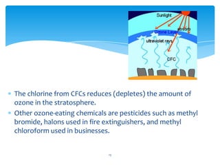The chlorine from CFCs reduces (depletes) the amount of
ozone in the stratosphere.
Other ozone-eating chemicals are pestic...
