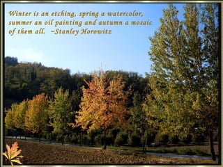 Winter is an etching, spring a watercolor, summer an oil painting and autumn a mosaic of them all.  ~Stanley Horowitz 