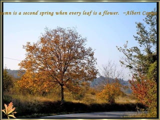 Autumn is a second spring when every leaf is a flower.  ~Albert Camus   