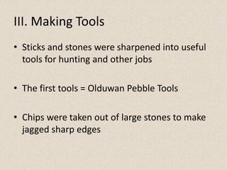 III. Making Tools
• Sticks and stones were sharpened into useful
tools for hunting and other jobs
• The first tools = Olduwan Pebble Tools
• Chips were taken out of large stones to make
jagged sharp edges
 