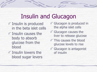 Insulin and Glucagon Insulin is produced in the beta islet cells Insulin causes the body to absorb glucose from the blood Insulin lowers the blood sugar levers Glucagon is produced in the alpha islet cells Glucagon causes the liver to release glucose This causes the blood glucose levels to rise Glucagon is antagonist of insulin 