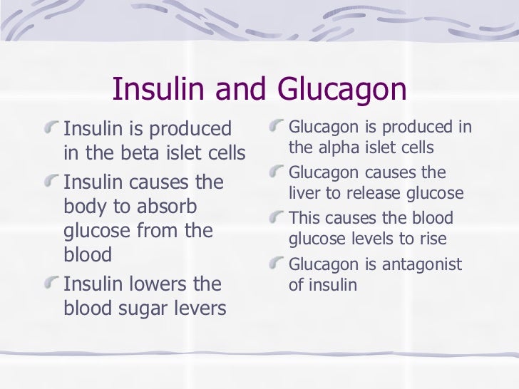 the pancreas insulin works as an antagonist to