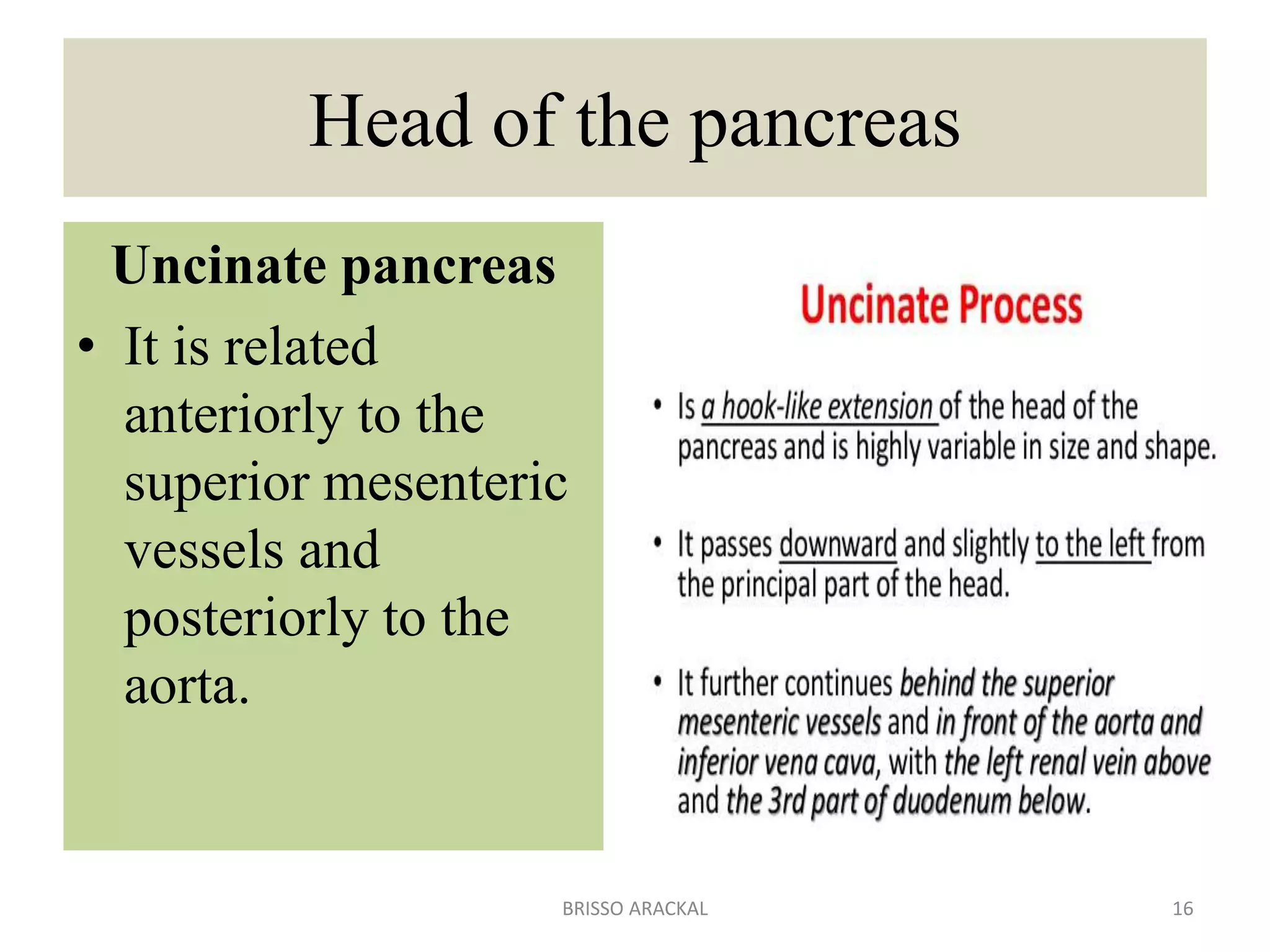 The pancreas | PPTX