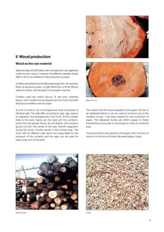 3
ll Wood production
Wood as the raw material
Approximately 25,000 plants with a woody stem are registered
under the term wood. However, the different varieties clearly
differ in terms of usability for the production of paper.
Conifers are preferred as the fibres are longer than, for example,
fibres of deciduous trees. Longer fibres form a firmer fibrous
web and, hence, a firmer paper on the paper machine.
Conifers used are mainly spruce, fir and pine, whereas
beech, birch, poplar and eucalyptus are the most important
deciduous varieties used for paper.
A trunk of a tree is not a homogeneous body composed of
identical cells. The cells differ according to type, age, season
of origination and arrangement in the trunk. At the outside,
there is the bark, below are the bast and the cambium,
which form the growth tissue. By cell division, the cambium
grows out from the centre of the tree. Growth stagnation
during the winter months results in the annual rings. The
trunk with its different cells which are responsible for the
transport of the nutrients and the saps can be used for
paper pulp, but not the bark.
This means that the wood supplied to the paper mill has to
be debarked before it can be used to produce one of the
varieties of pulp – the base material for the production of
paper. The debarked trunks are either pulped to fibres
(mechanical wood pulp) or processed to chips for chemical
pulp.
The wood finds it way directly to the paper mill in the form of
trunks or in the form of timber mill waste (slabs, chips).
Wood trunks Chips
Beech trunks
Obtain a printed version of this brochure from the Idea Exchange at www.sappi.com
 