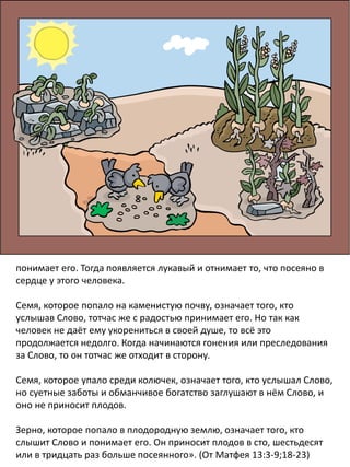 понимает его. Тогда появляется лукавый и отнимает то, что посеяно в
сердце у этого человека.
Семя, которое попало на каменистую почву, означает того, кто
услышав Слово, тотчас же с радостью принимает его. Но так как
человек не даёт ему укорениться в своей душе, то всё это
продолжается недолго. Когда начинаются гонения или преследования
за Слово, то он тотчас же отходит в сторону.
Семя, которое упало среди колючек, означает того, кто услышал Слово,
но суетные заботы и обманчивое богатство заглушают в нём Слово, и
оно не приносит плодов.
Зерно, которое попало в плодородную землю, означает того, кто
слышит Слово и понимает его. Он приносит плодов в сто, шестьдесят
или в тридцать раз больше посеянного». (От Матфея 13:3-9;18-23)
 