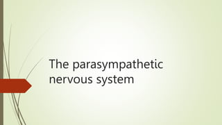 The parasympathetic
nervous system
 