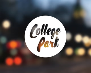 The Parks Presentation