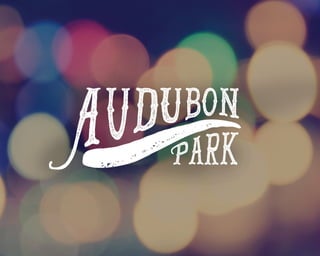 The Parks Presentation