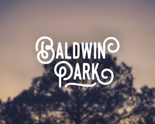 The Parks Presentation