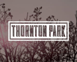 The Parks Presentation