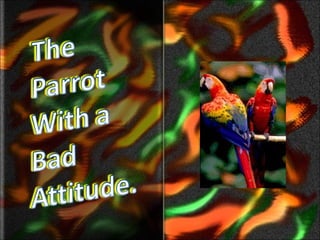The Naughty Parrot