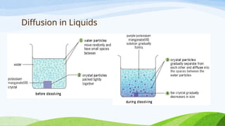 The Particulate Theory of Matter.pptxn4h | PPTX