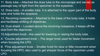 The parts and functions of the compound microscope | PPTX