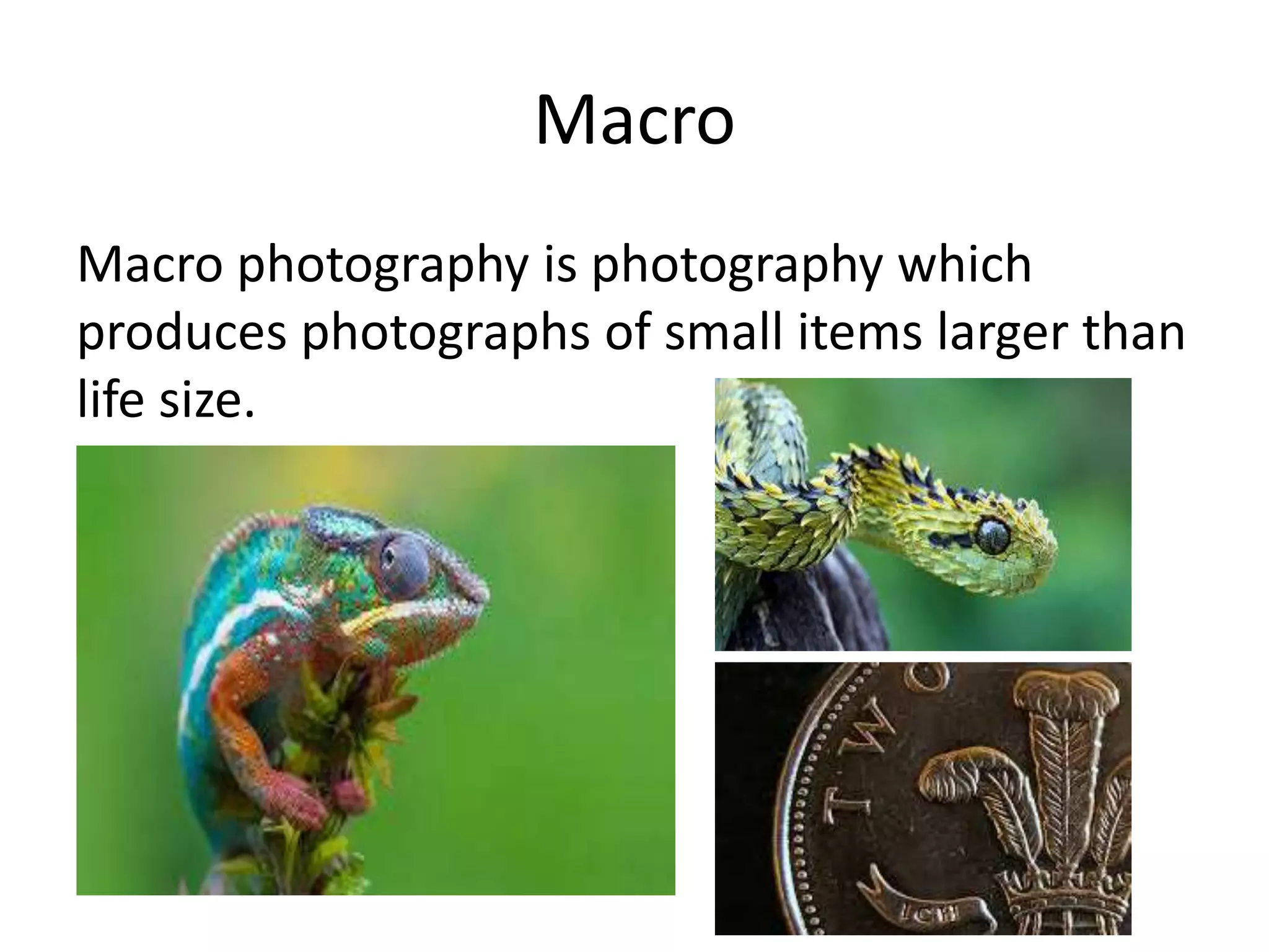 Macro
Macro photography is photography which
produces photographs of small items larger than
life size.
 