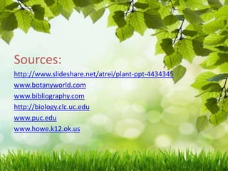 Source. Example Plants The parts of a plant and their functions | PPTX
