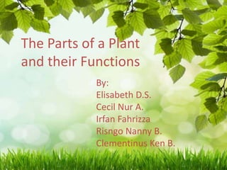 The Parts of a Plant
and their Functions
By:
Elisabeth D.S.
Cecil Nur A.
Irfan Fahrizza
Risngo Nanny B.
Clementinus Ken B.

 