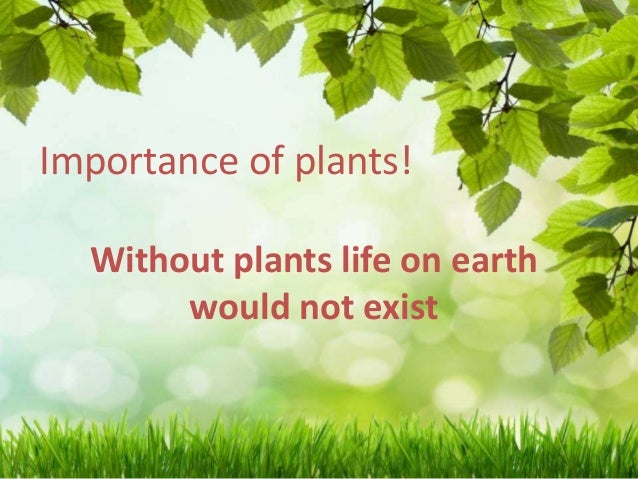 Visit ReNew Life for the Highest Potency Probiotics & highest quality Herbal Cleanses, Digestive Enzymes, Fish Oil & Fiber Supplements on the market.